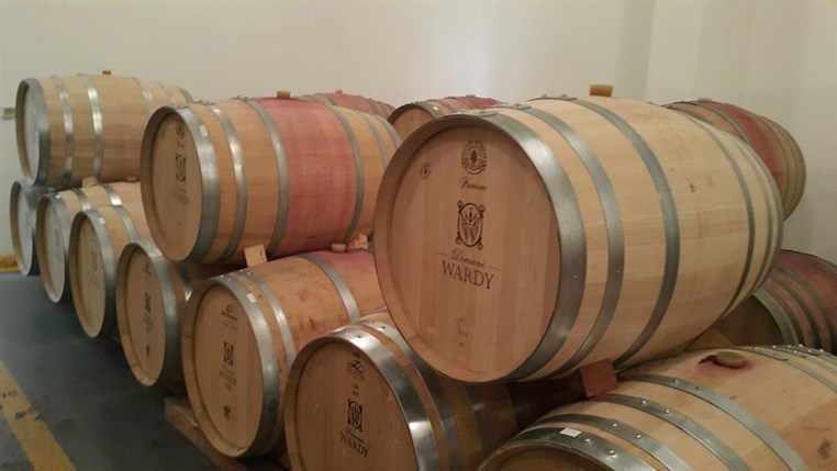 Wine Tasting at Domaine Wardy 